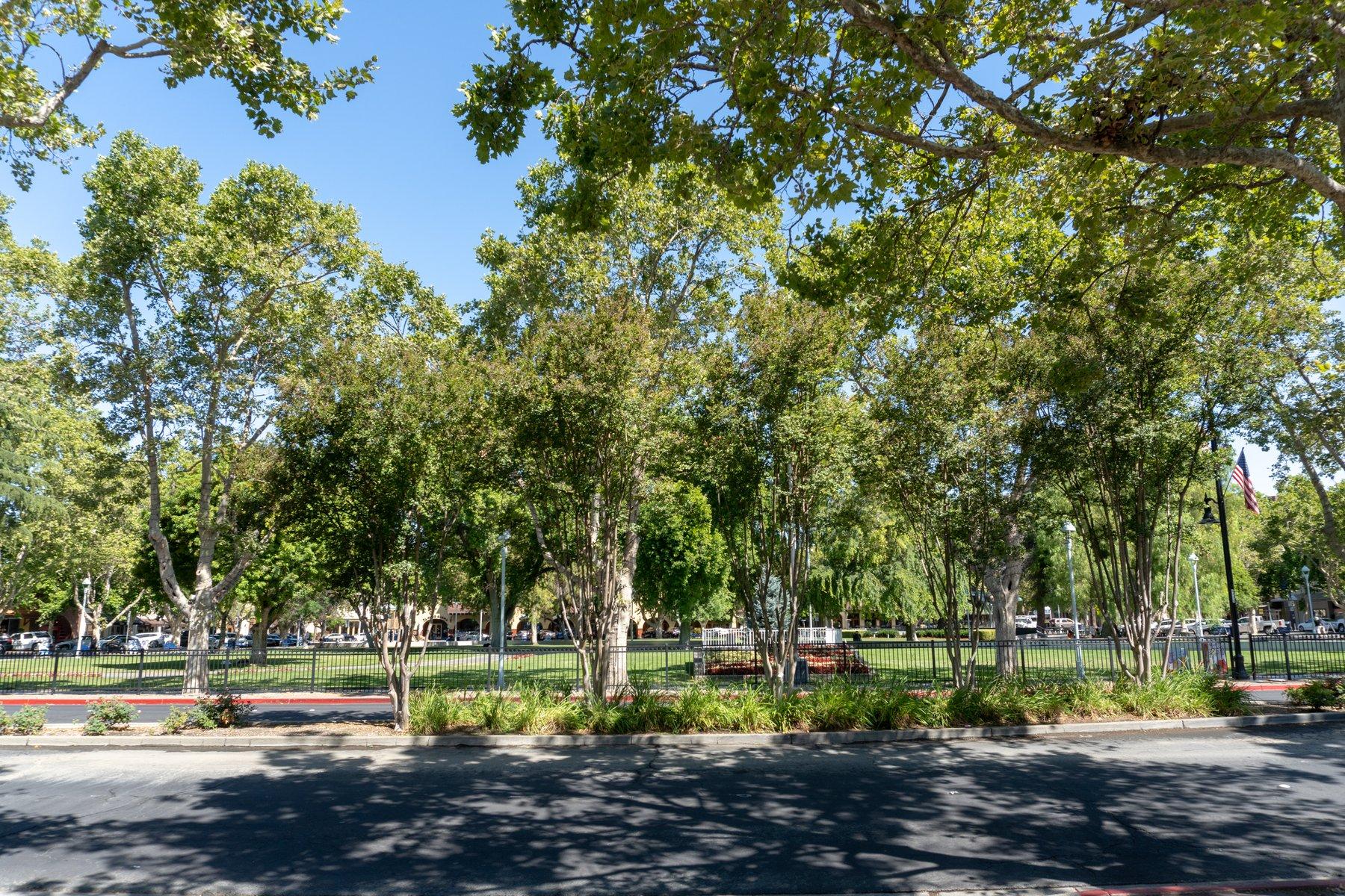 City Park Square - Photo 2